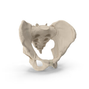 artroscopia de cadera cirugia articular minimamente invasiva de cadera traumatologia y ortopedia dr doctor felix vilchez san pedro garza garcia monterrey nuevo leon